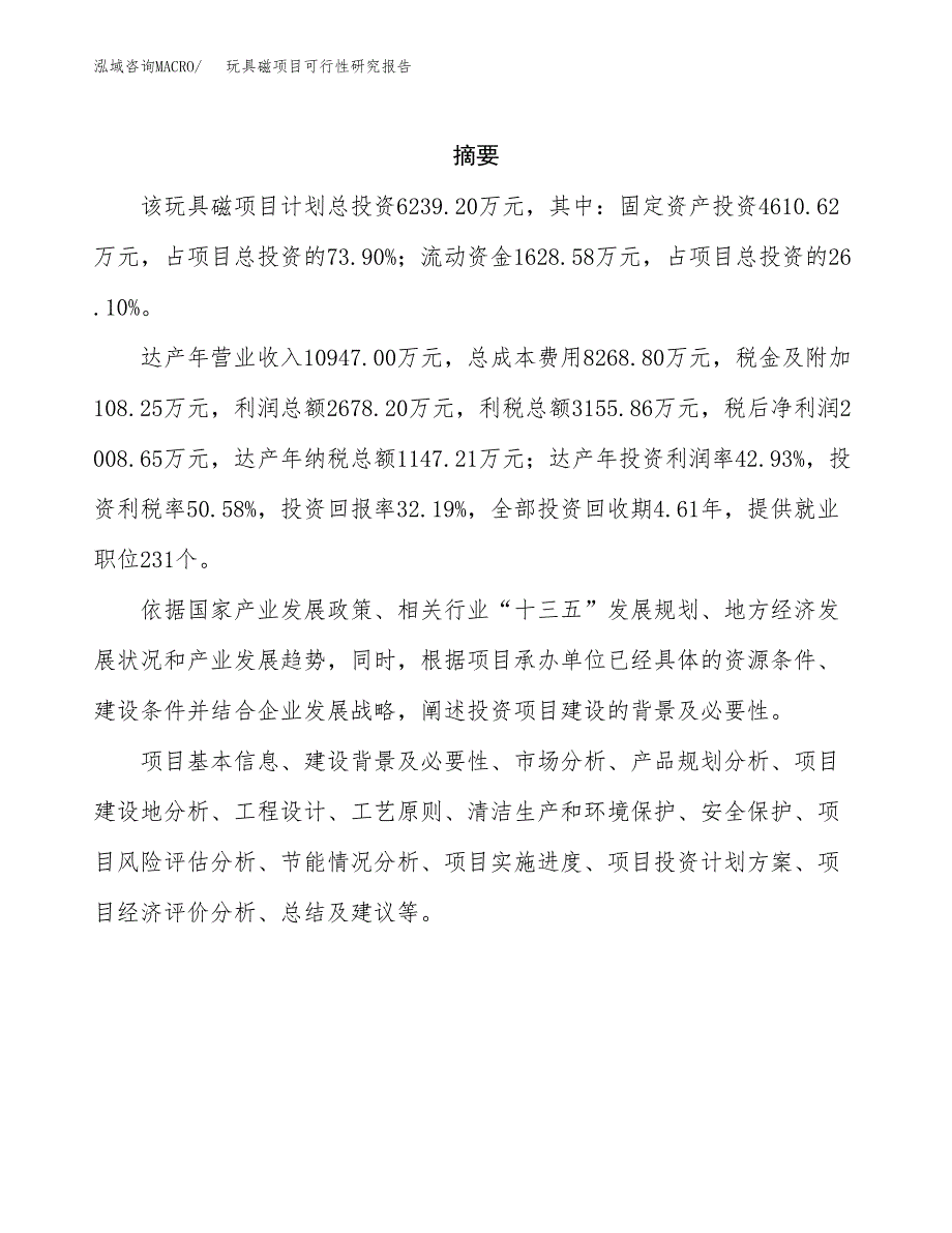 玩具磁项目可行性研究报告（总投资6000万元）（24亩）_第2页