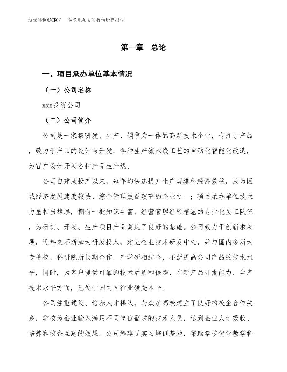 仿兔毛项目可行性研究报告（总投资13000万元）（49亩）_第5页