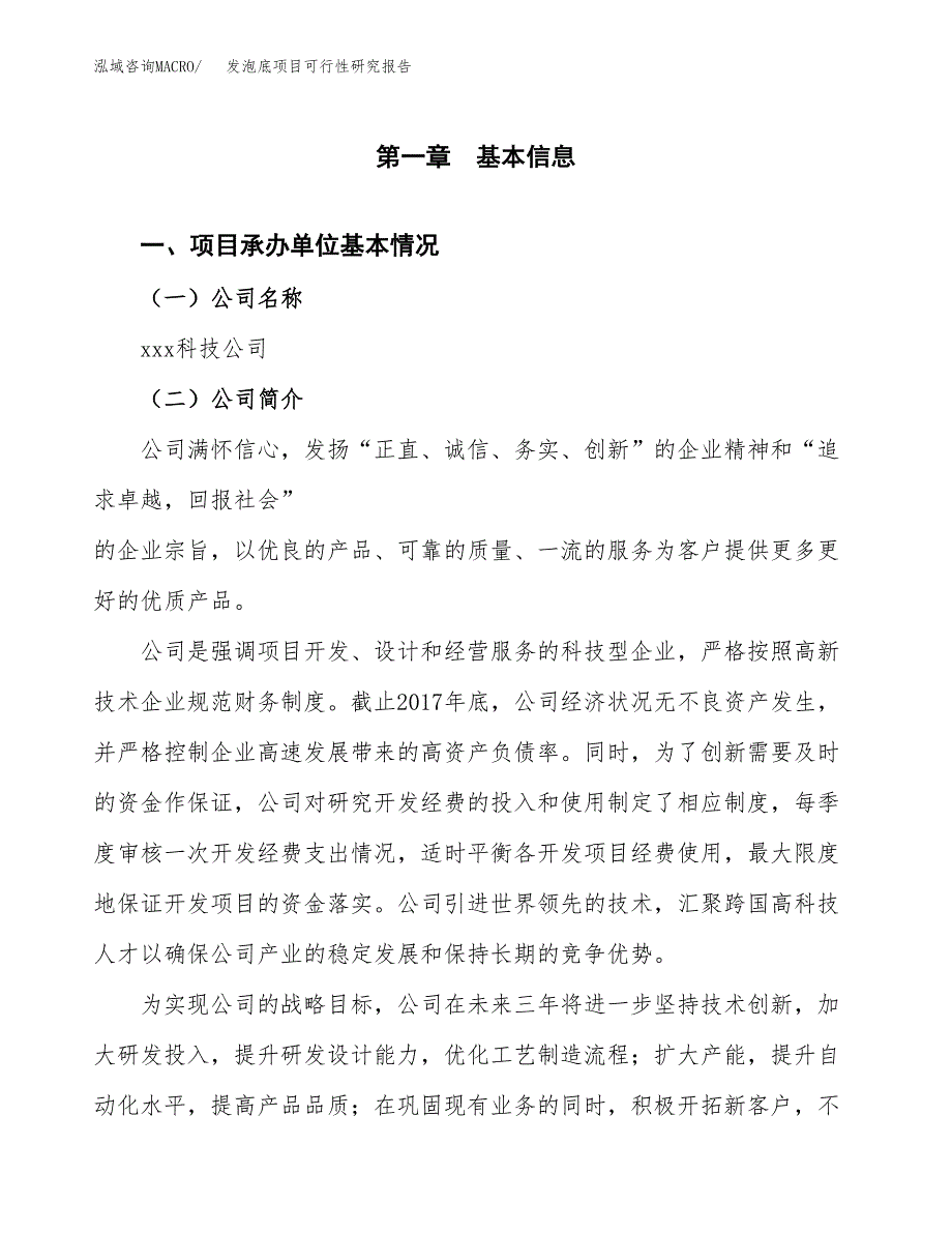 发泡底项目可行性研究报告（总投资17000万元）（73亩）_第4页