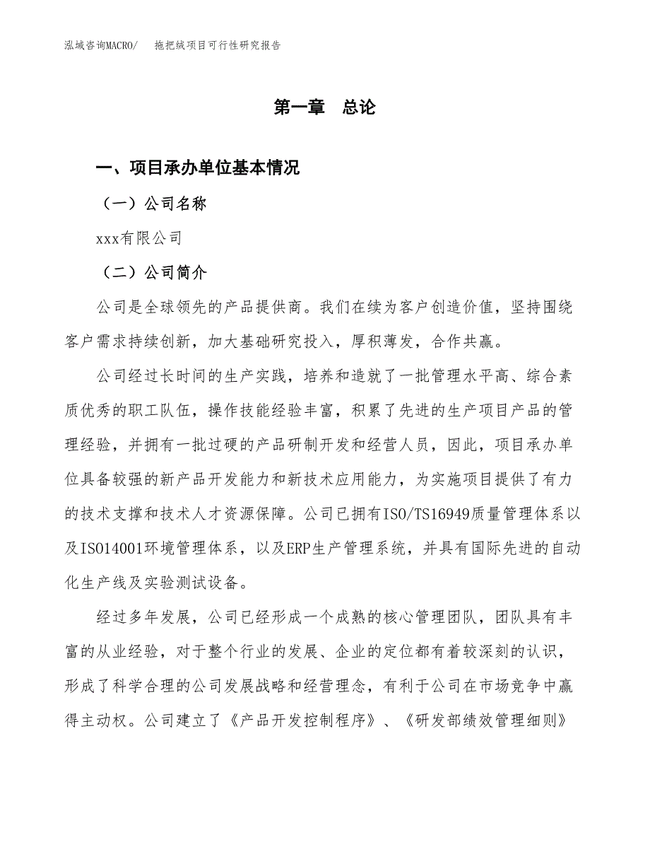 拖把绒项目可行性研究报告（总投资6000万元）（33亩）_第4页