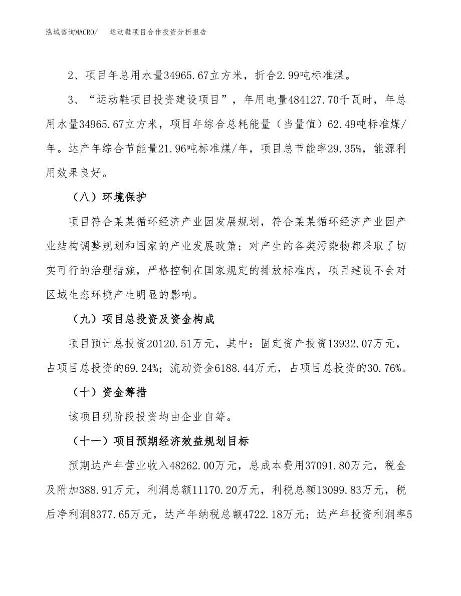 运动鞋项目合作投资分析报告(范本) (1).docx_第5页