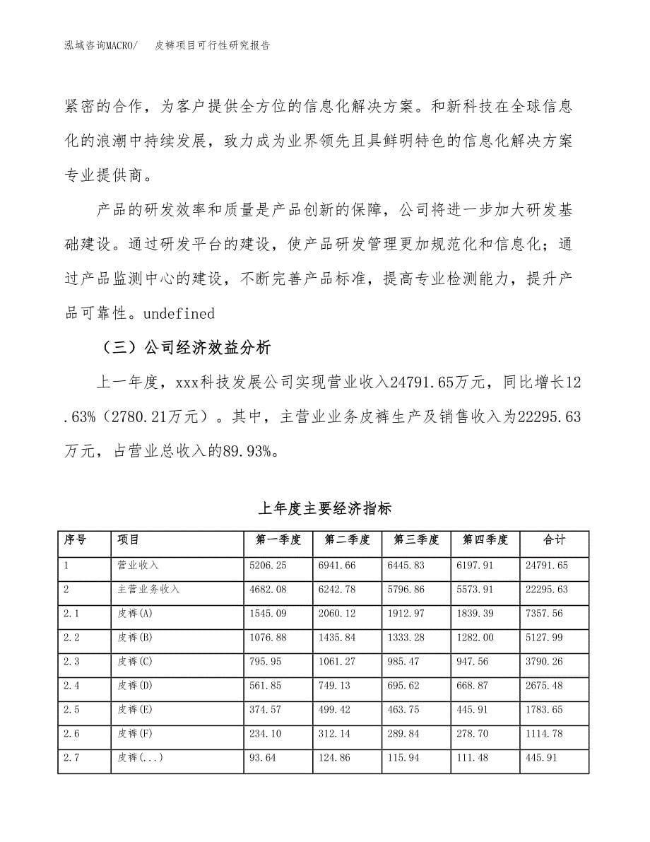 皮裤项目可行性研究报告（总投资20000万元）（69亩）_第5页