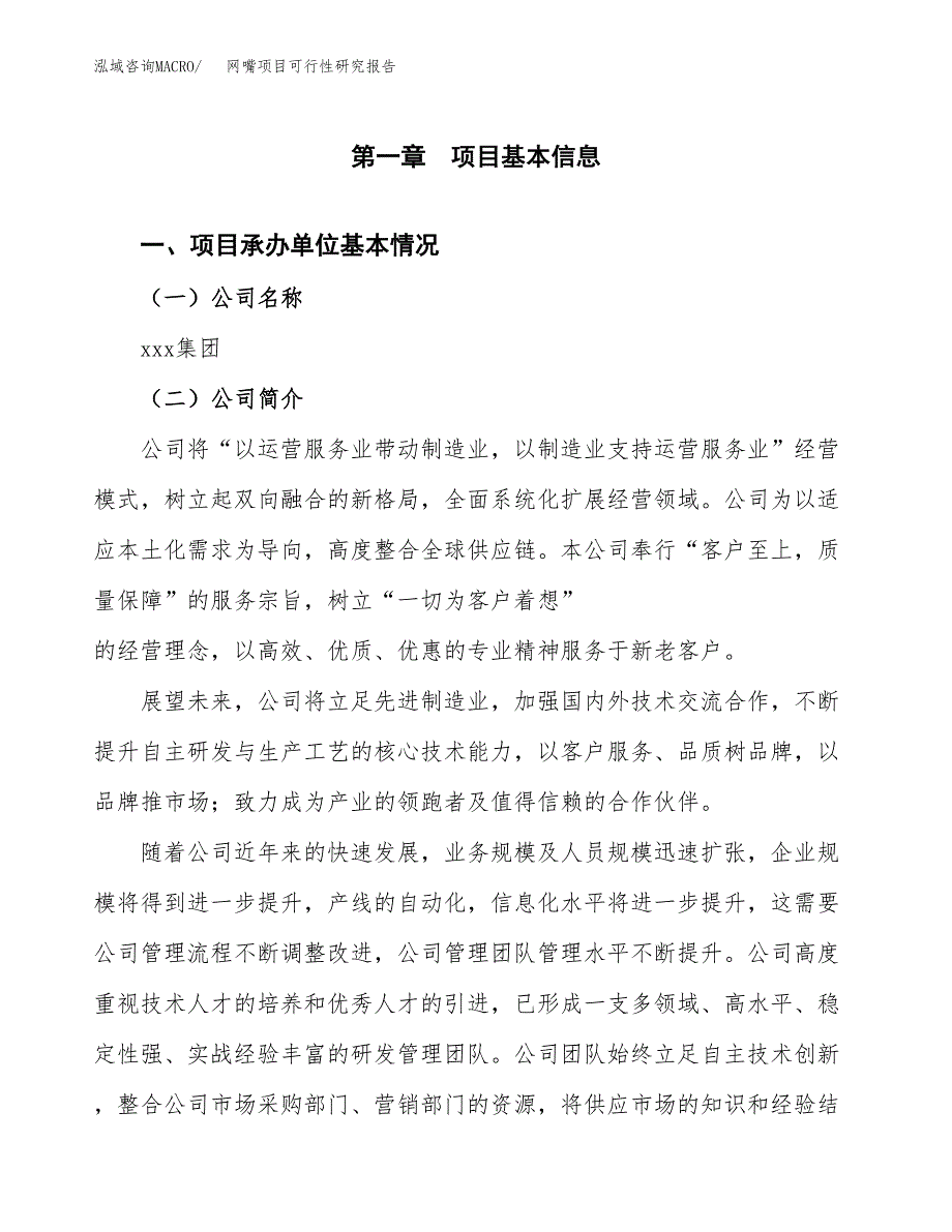 网嘴项目可行性研究报告（总投资16000万元）（65亩）_第4页