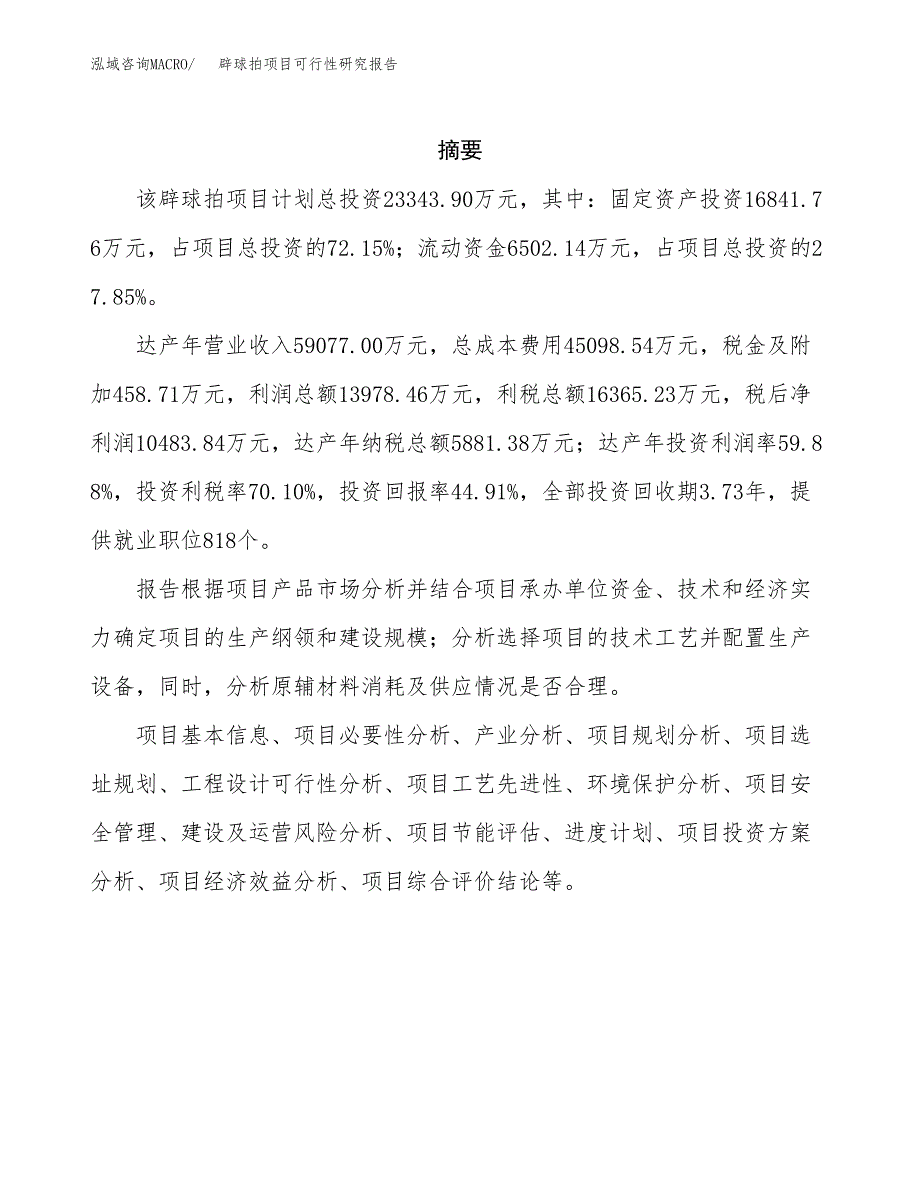 辟球拍项目可行性研究报告（总投资23000万元）（85亩）_第2页