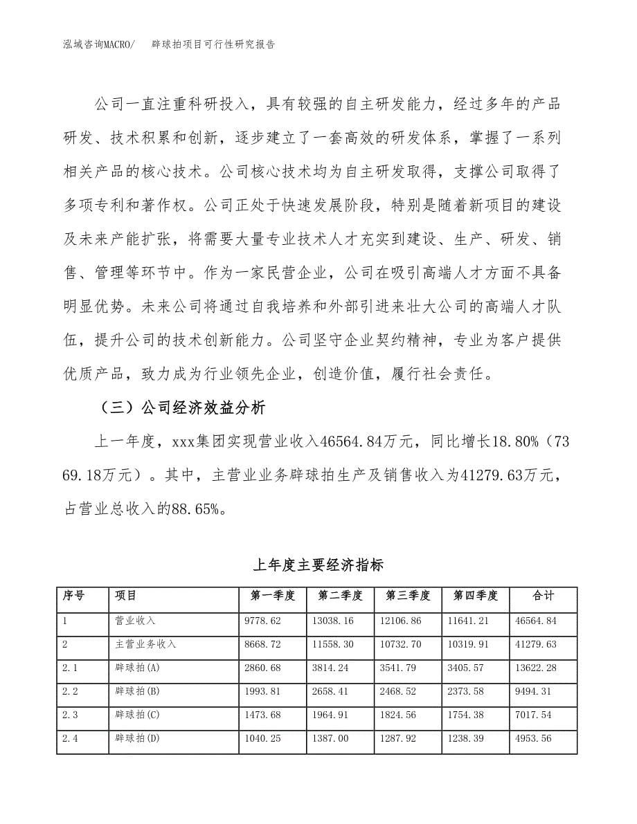 辟球拍项目可行性研究报告（总投资23000万元）（85亩）_第5页