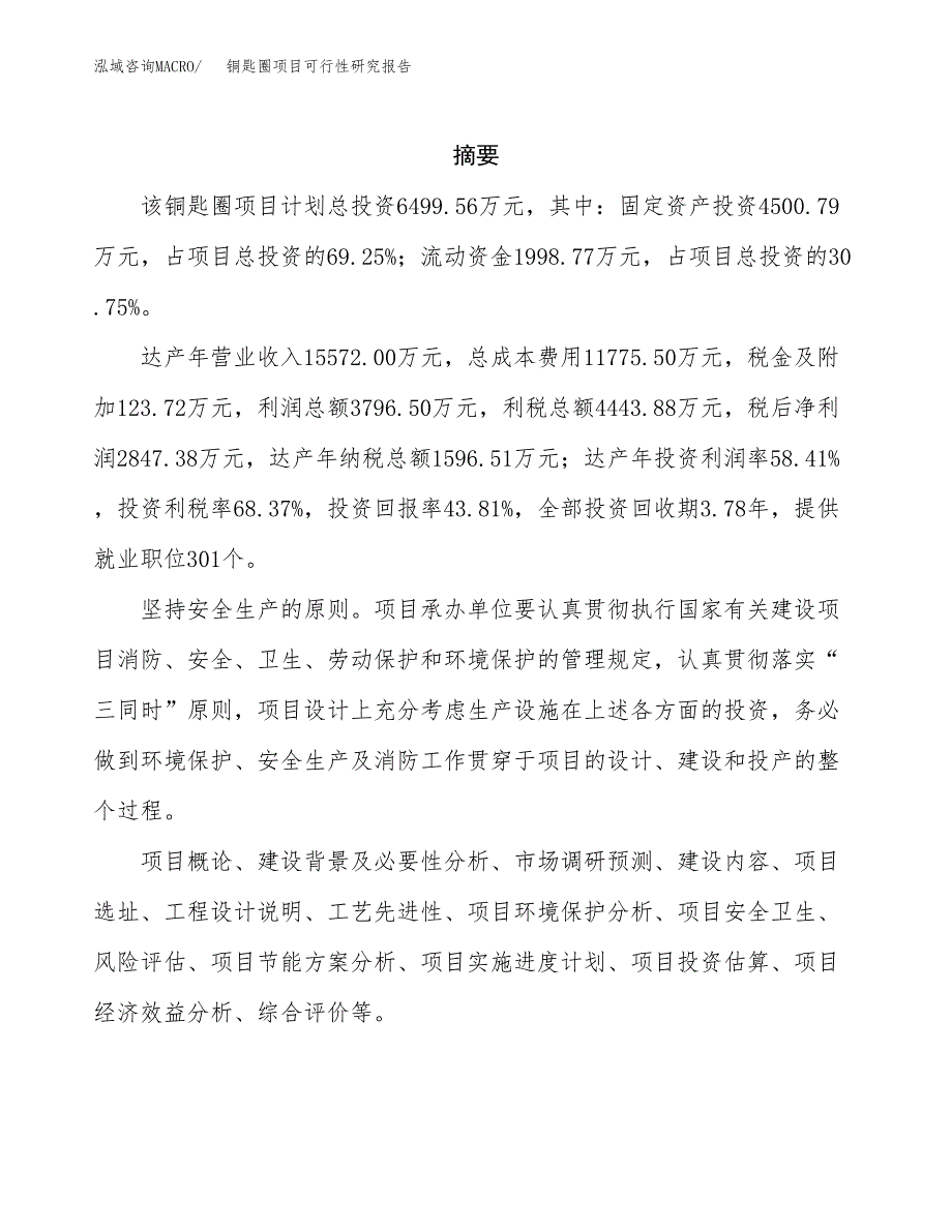 铜匙圈项目可行性研究报告（总投资6000万元）（23亩）_第2页