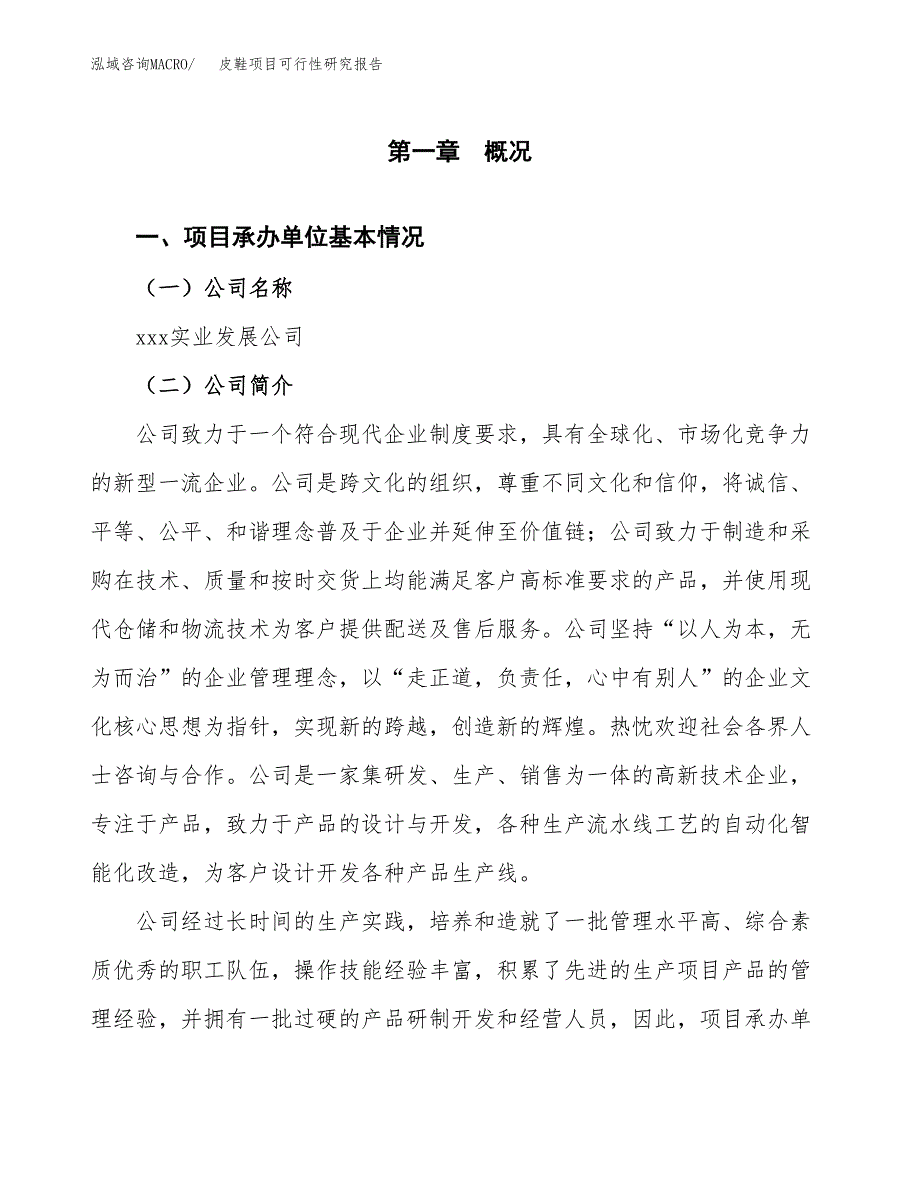 皮鞋项目可行性研究报告（总投资12000万元）（62亩）_第4页