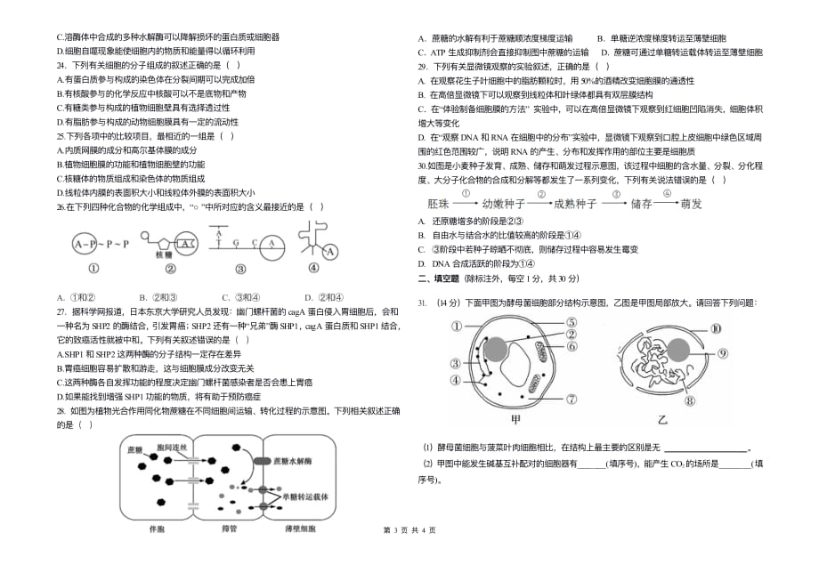 高二下第三次月考生物试卷正式版.pdf_第3页