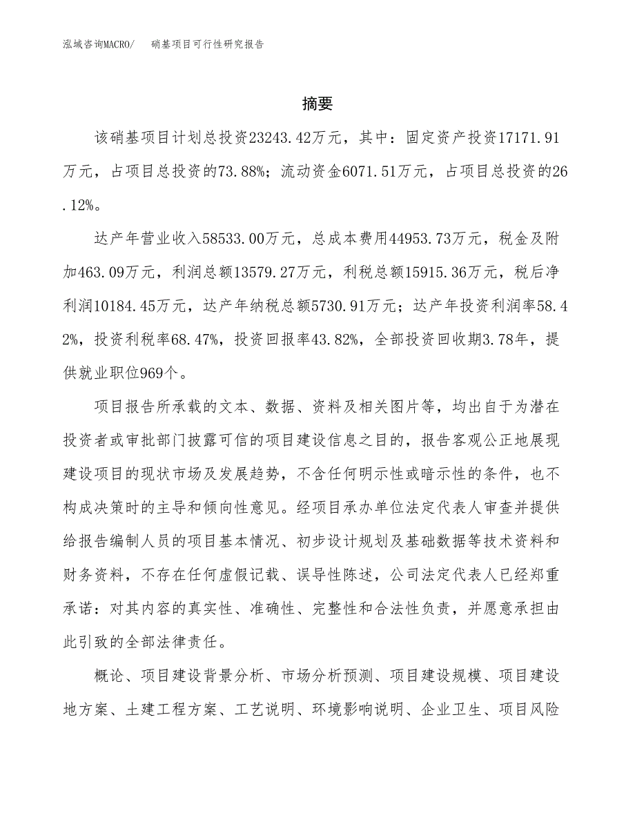 硝基项目可行性研究报告（总投资23000万元）（89亩）_第2页