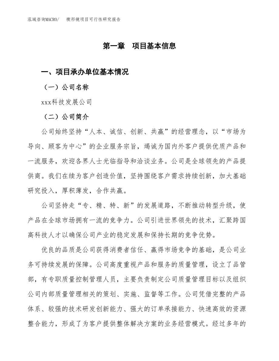 楔形镜项目可行性研究报告（总投资5000万元）（21亩）_第5页