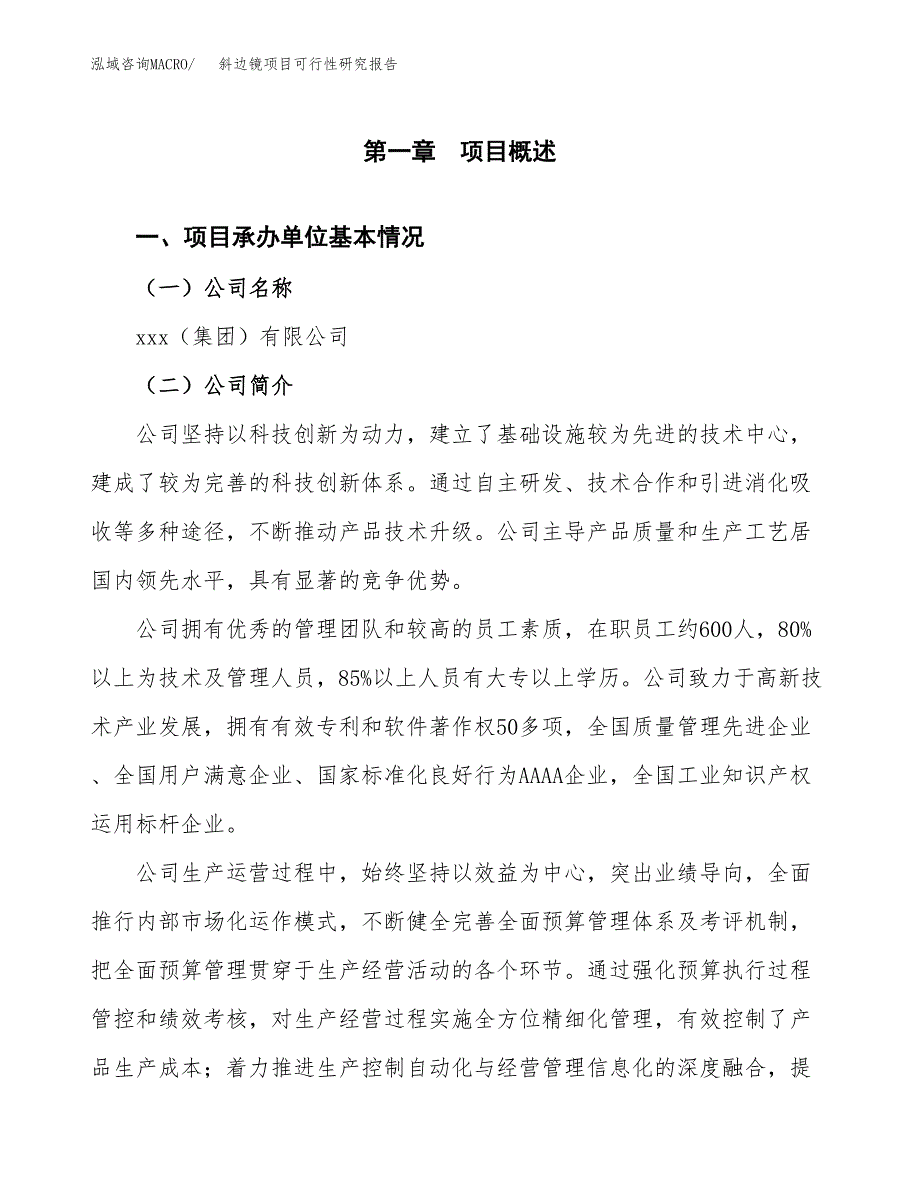 斜边镜项目可行性研究报告（总投资11000万元）（56亩）_第4页