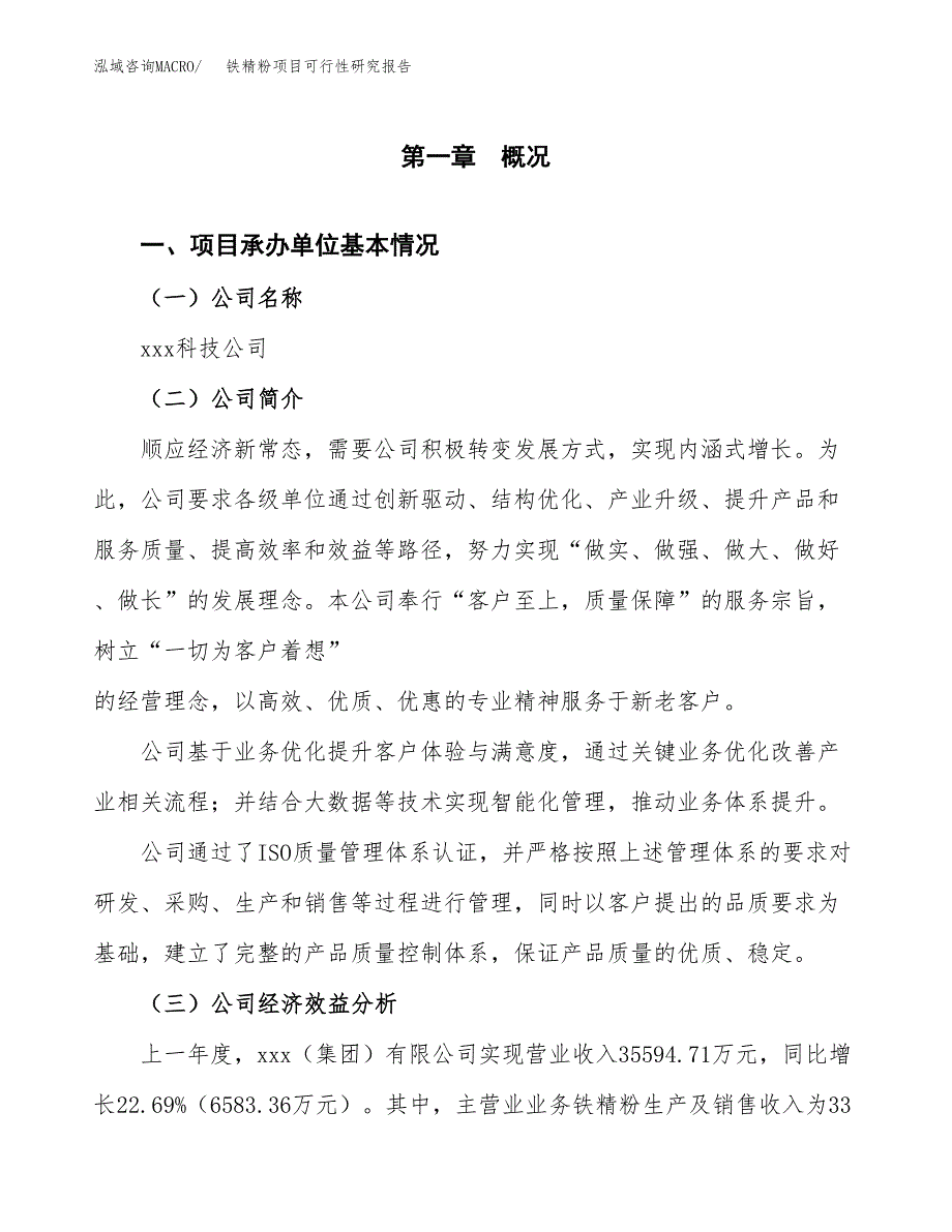 铁精粉项目可行性研究报告（总投资19000万元）（79亩）_第4页