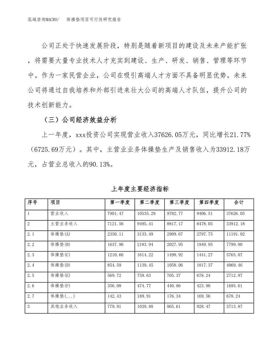 体操垫项目可行性研究报告（总投资18000万元）（74亩）_第5页