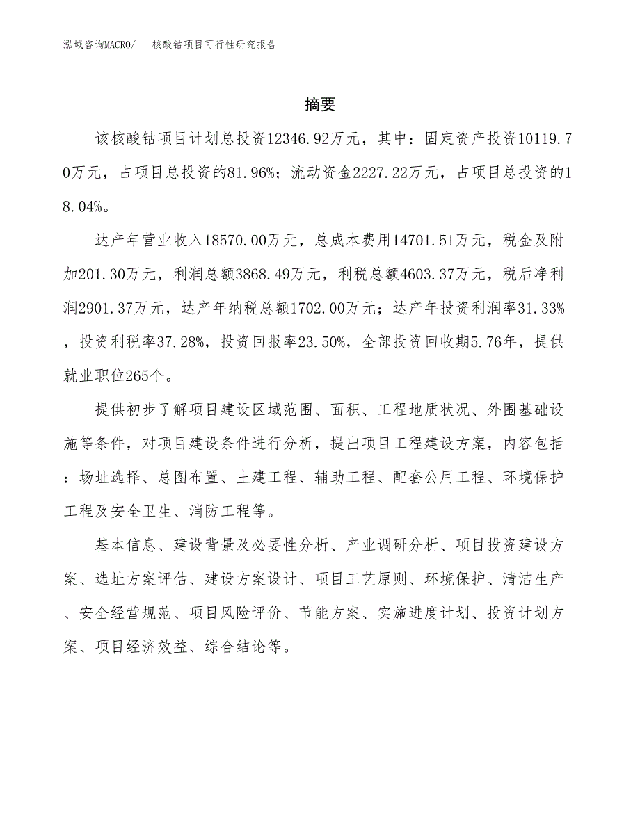 核酸钴项目可行性研究报告（总投资12000万元）（51亩）_第2页