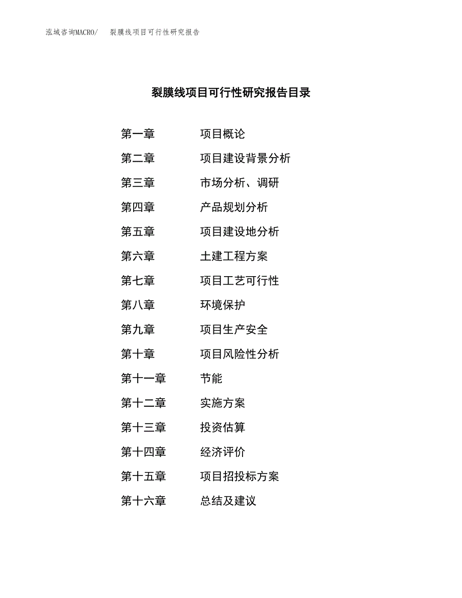 裂膜线项目可行性研究报告（总投资20000万元）（89亩）_第3页