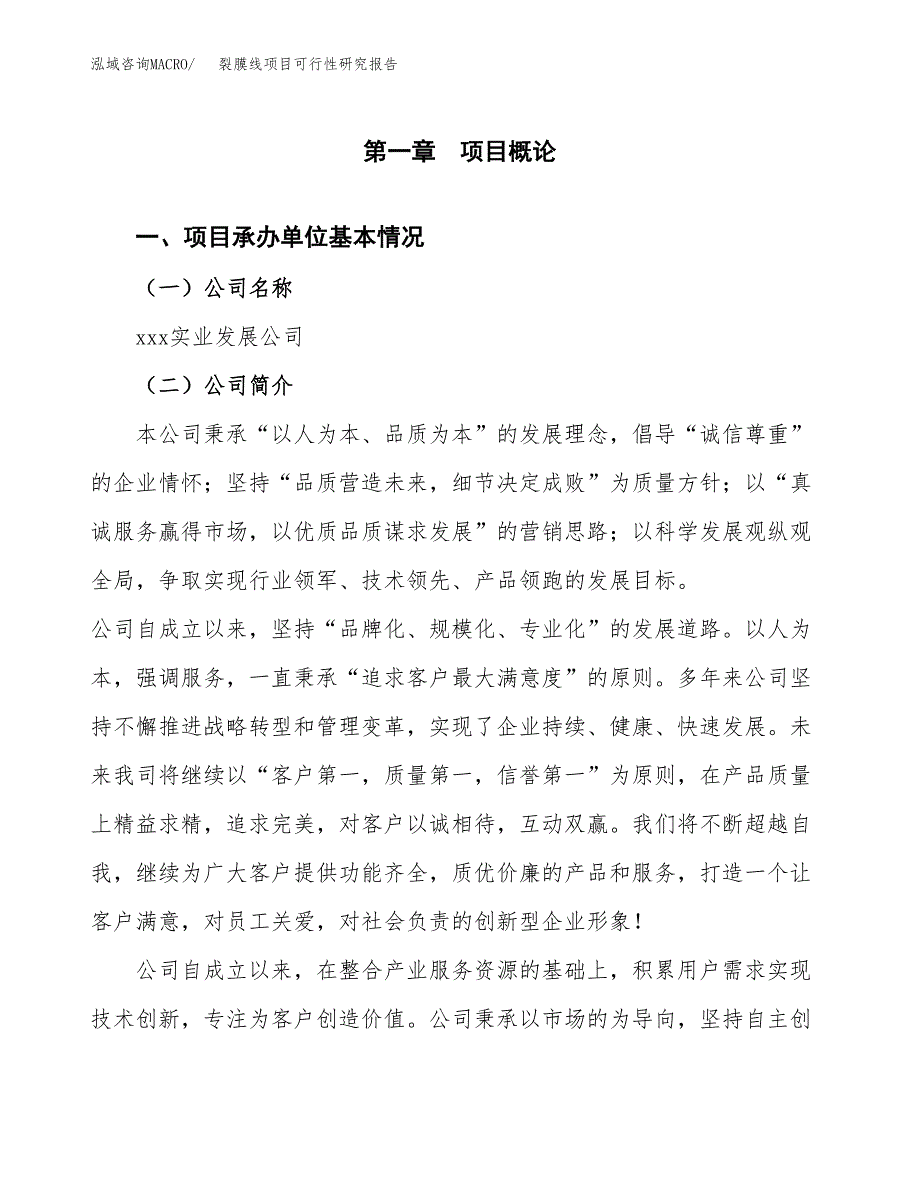 裂膜线项目可行性研究报告（总投资20000万元）（89亩）_第4页