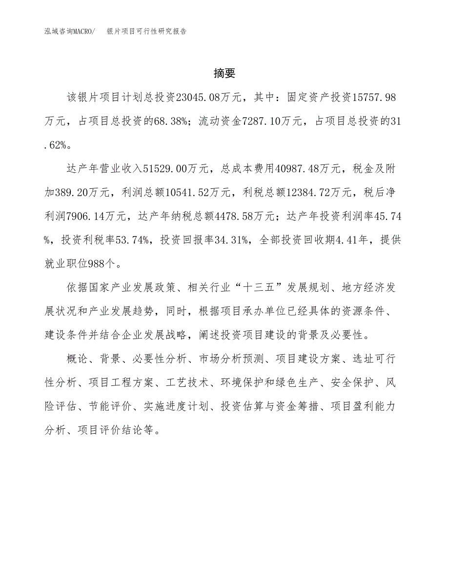 银片项目可行性研究报告（总投资23000万元）（80亩）_第2页