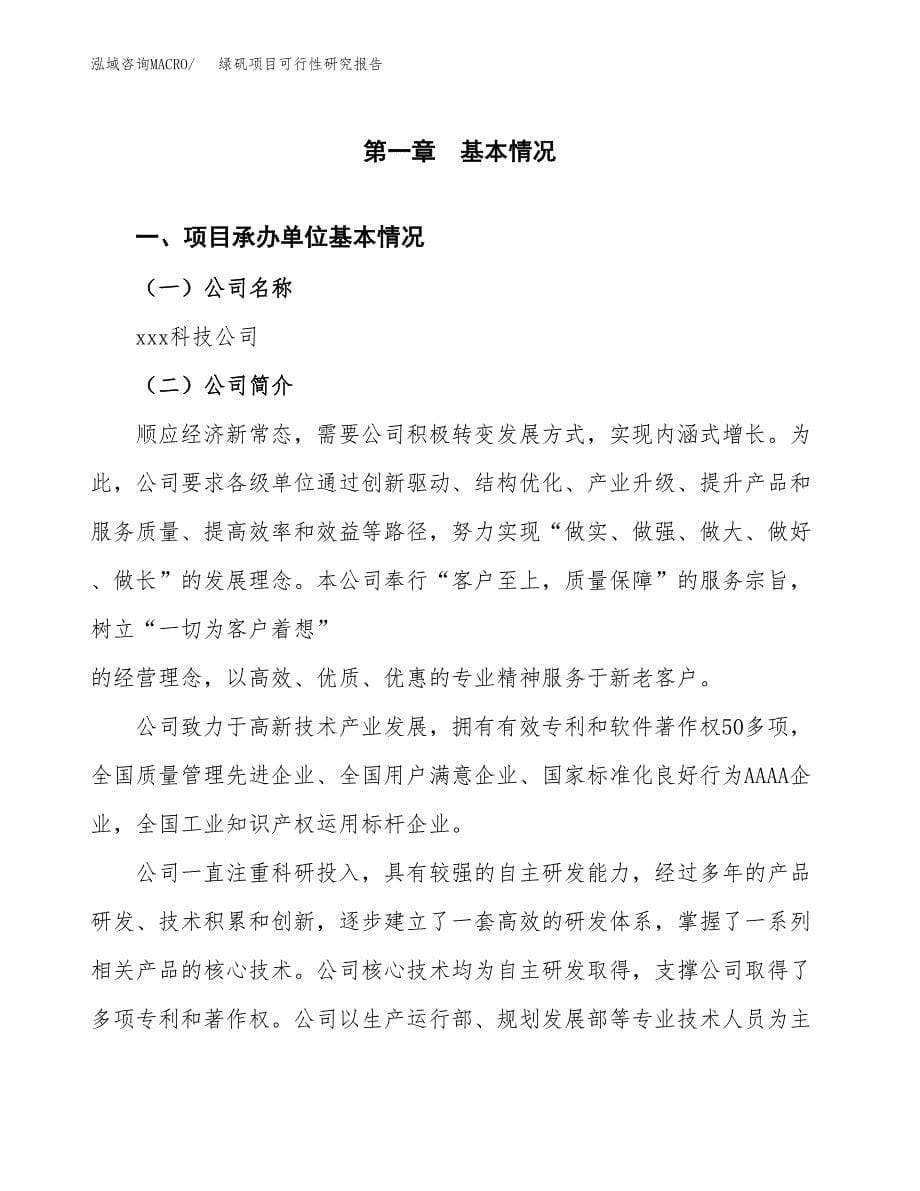 绿矾项目可行性研究报告（总投资9000万元）（40亩）_第5页