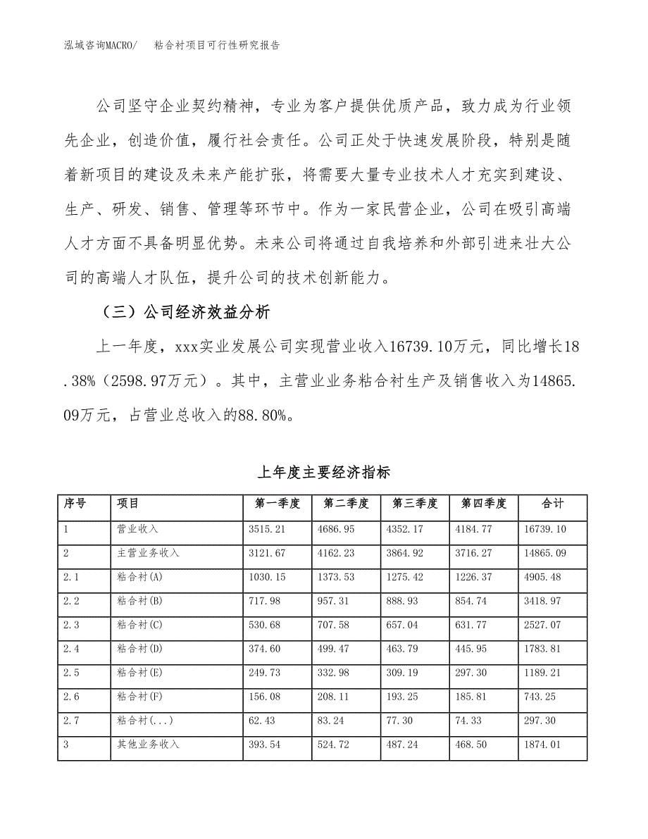 粘合衬项目可行性研究报告（总投资18000万元）（84亩）_第5页