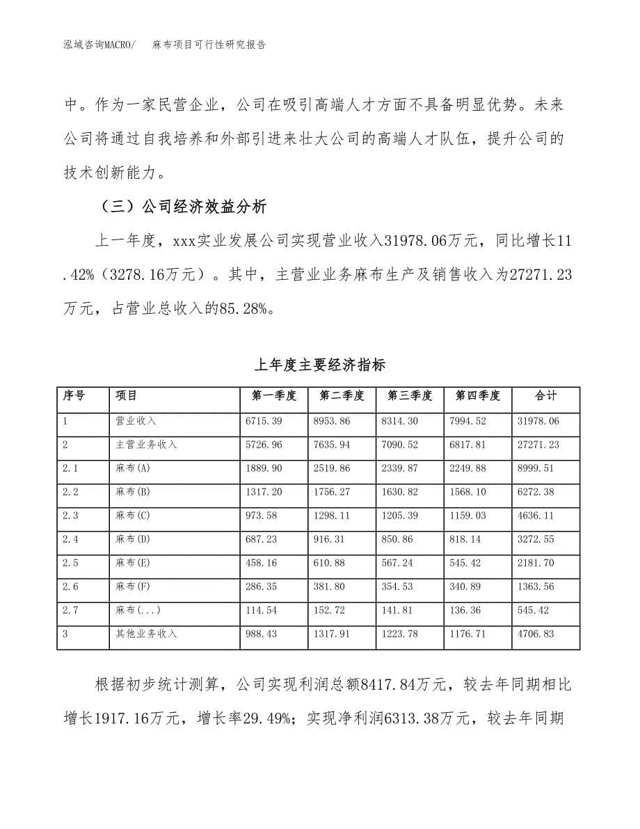 麻布项目可行性研究报告（总投资22000万元）（78亩）_第5页