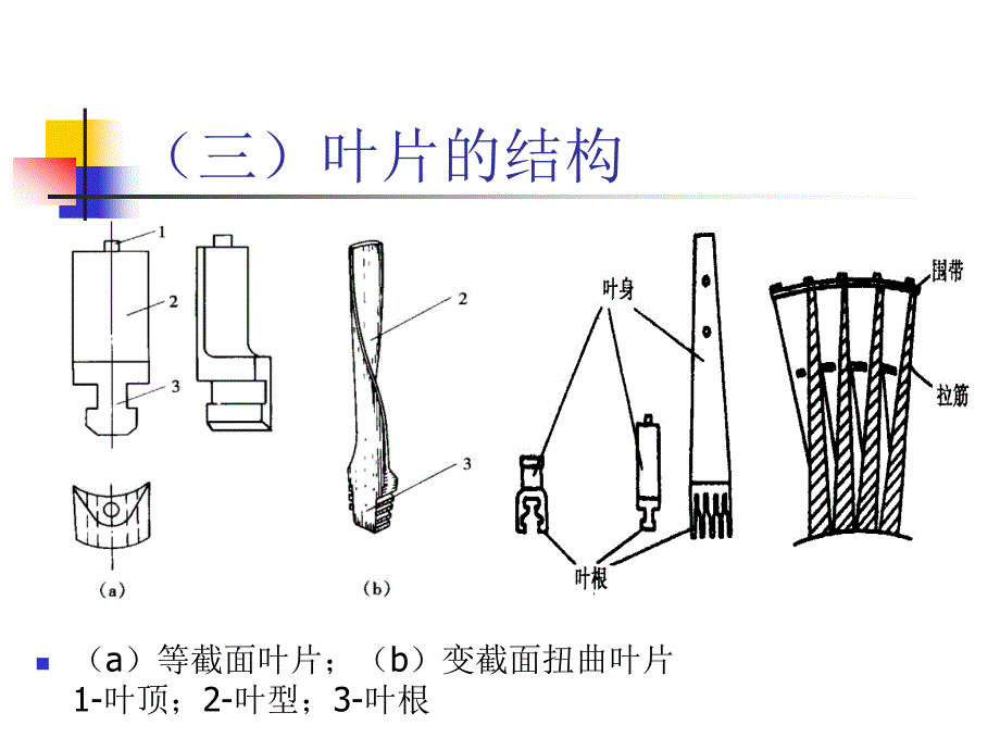 汽轮机构造：第四节动叶片_第3页