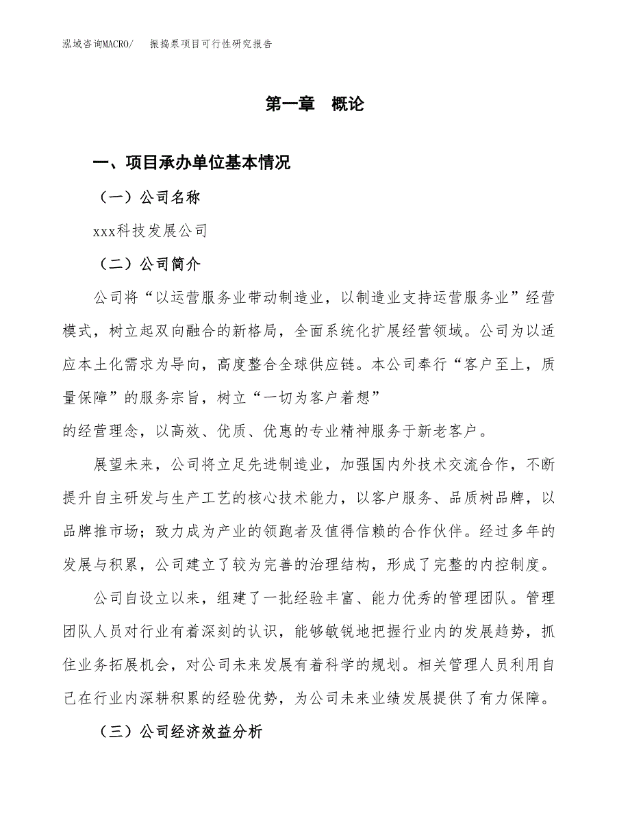 振捣泵项目可行性研究报告（总投资8000万元）（34亩）_第4页