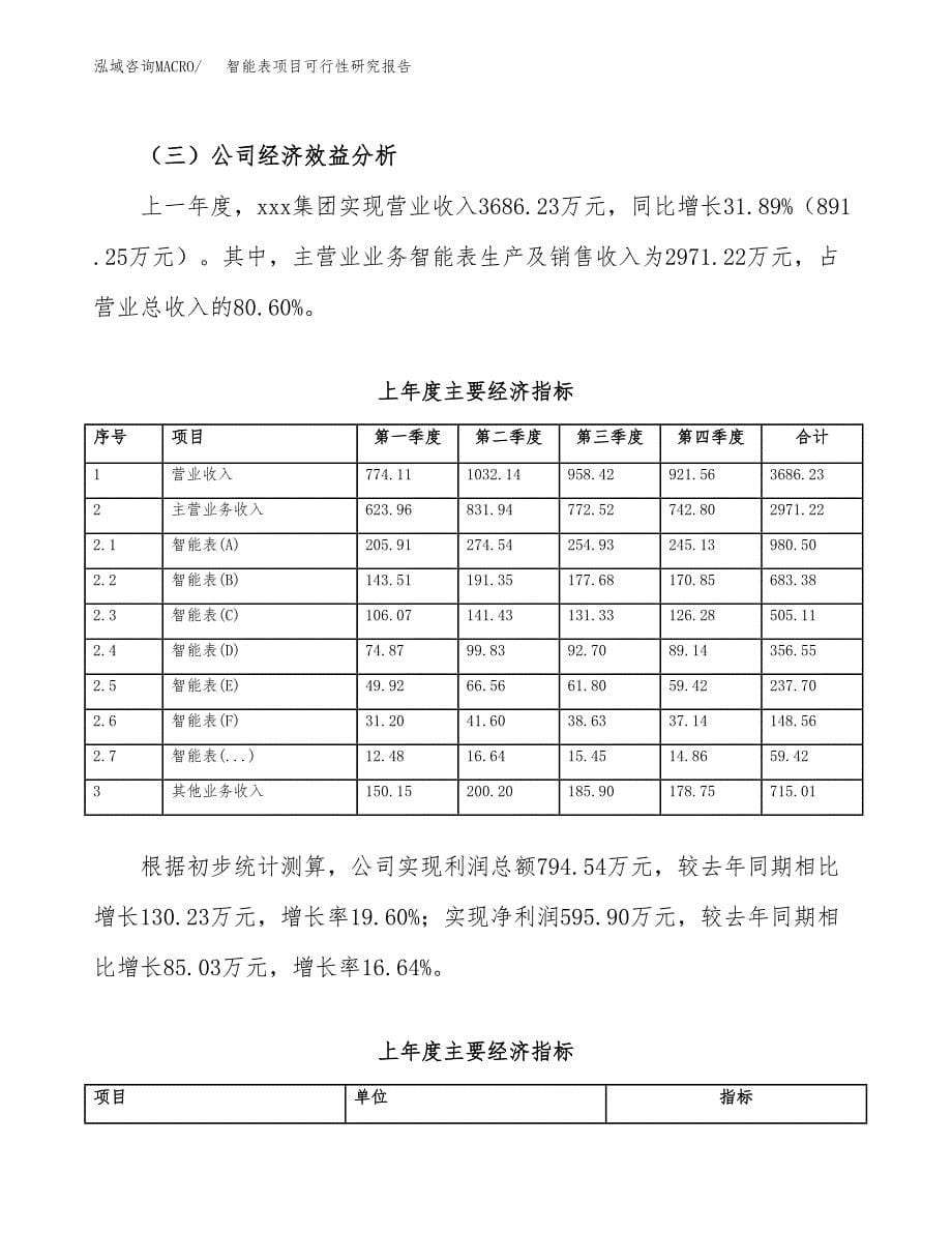 智能表项目可行性研究报告（总投资4000万元）（20亩）_第5页