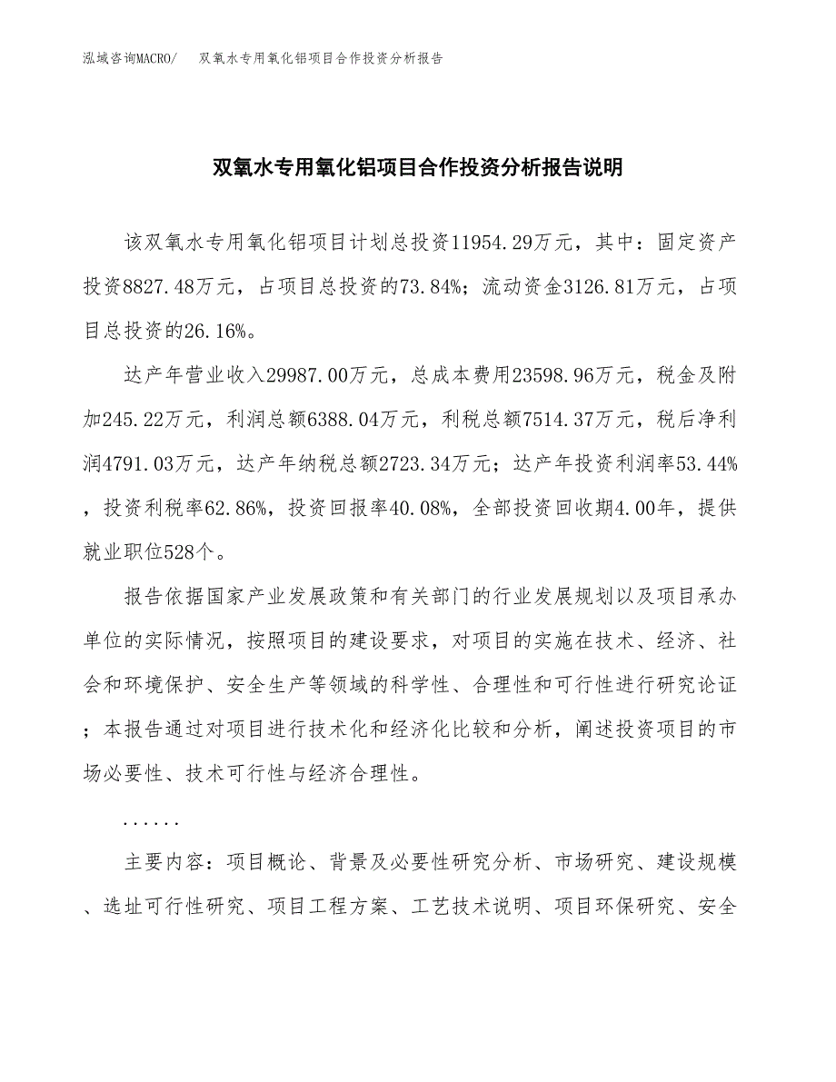 双氧水专用氧化铝项目合作投资分析报告(范本).docx_第2页