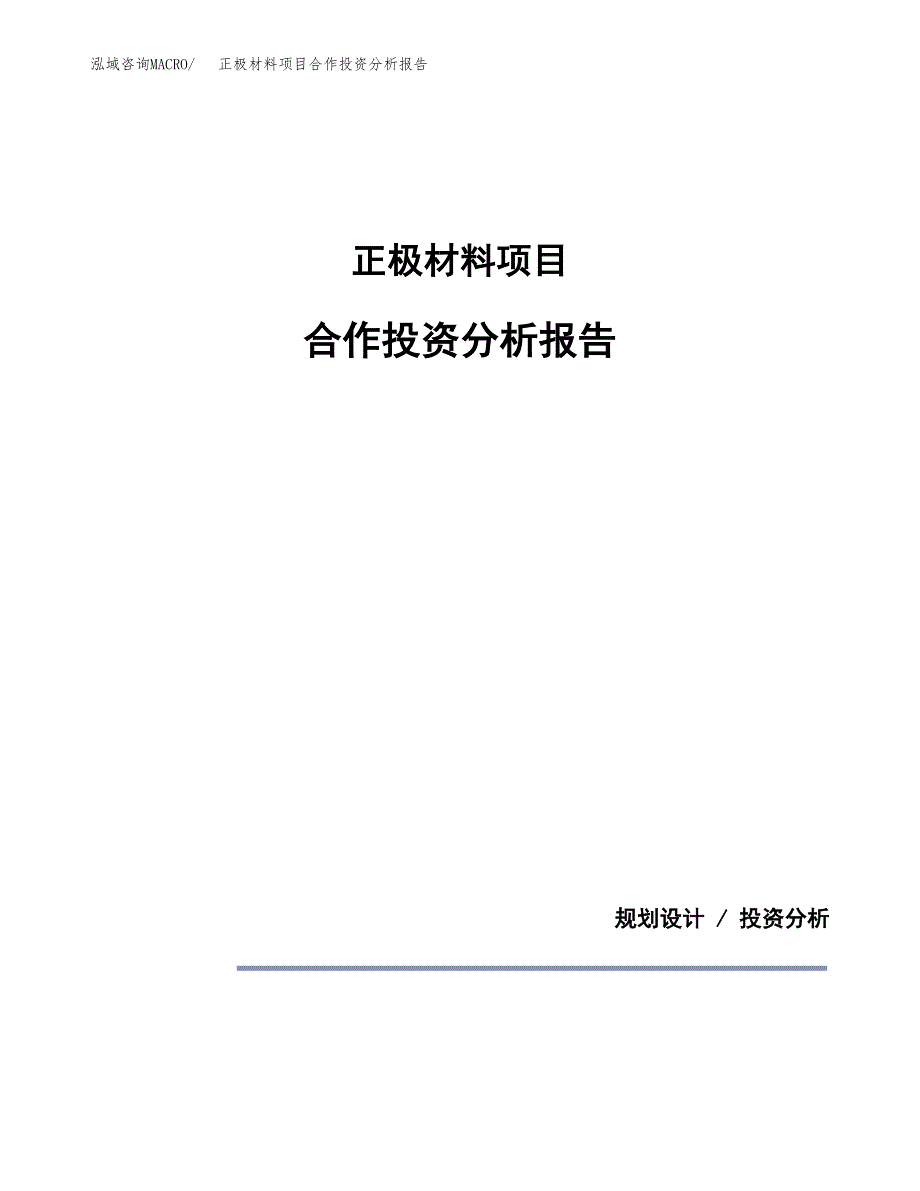正极材料项目合作投资分析报告(范本).docx_第1页