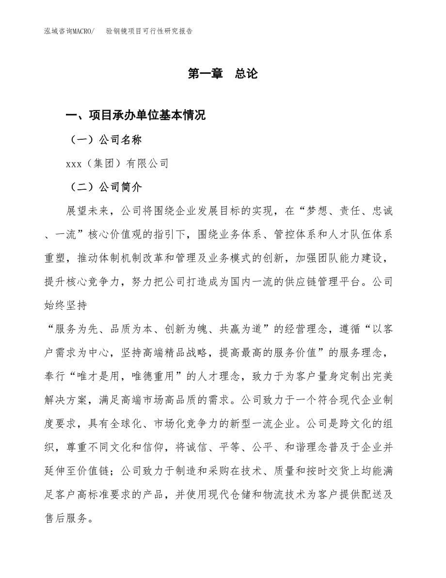 验钢镜项目可行性研究报告（总投资11000万元）（48亩）_第5页