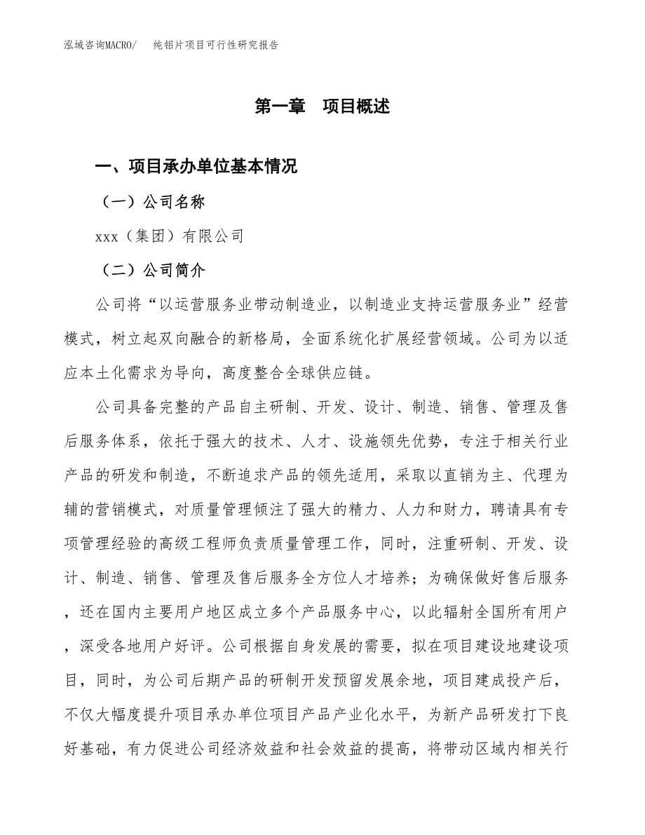 纯铝片项目可行性研究报告（总投资10000万元）（46亩）_第5页