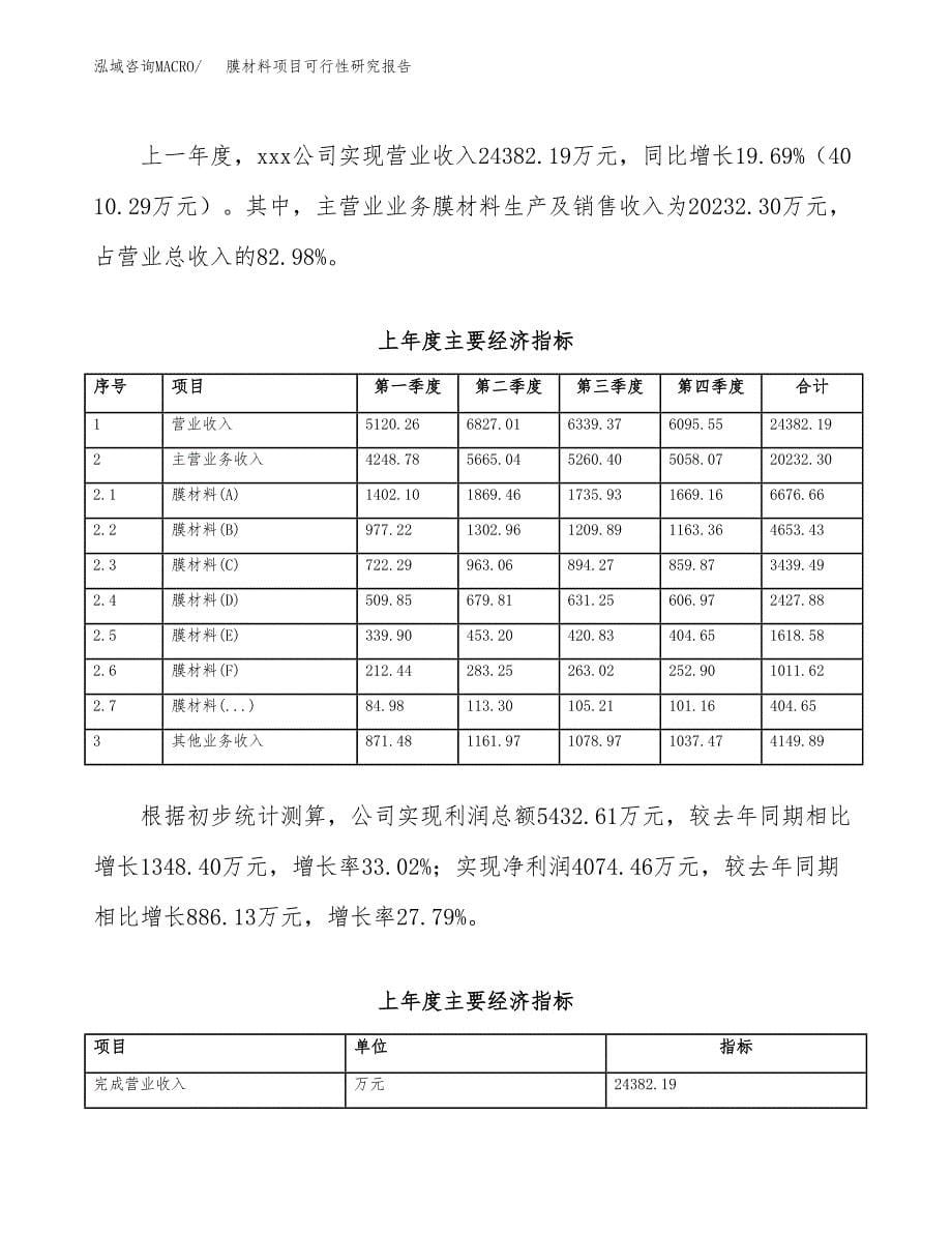 膜材料项目可行性研究报告（总投资19000万元）（80亩）_第5页