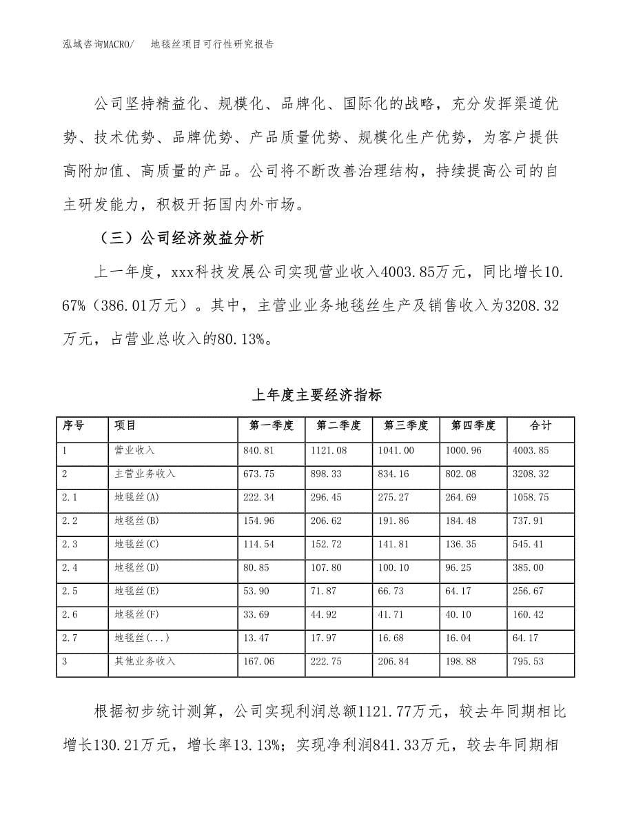 地毯丝项目可行性研究报告（总投资4000万元）（21亩）_第5页