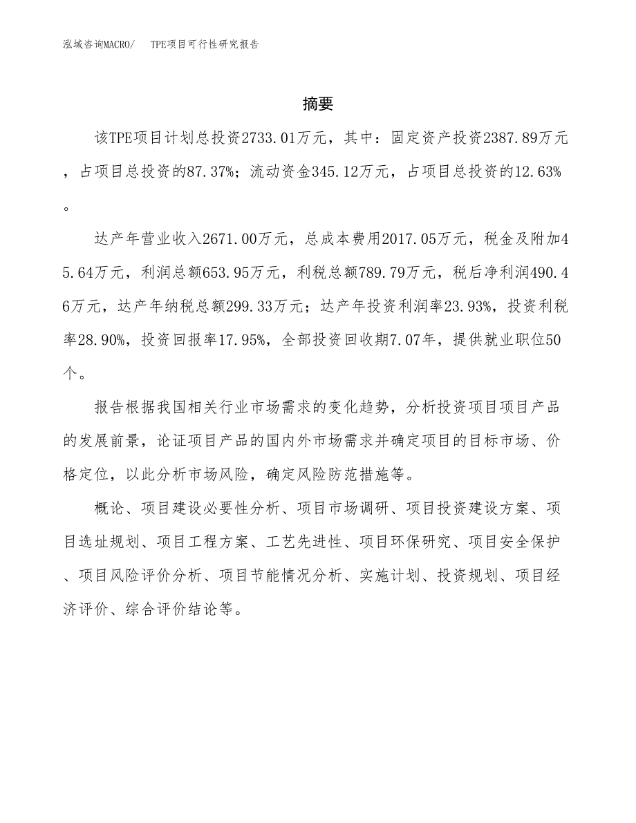 TPE项目可行性研究报告（总投资3000万元）（13亩）_第2页