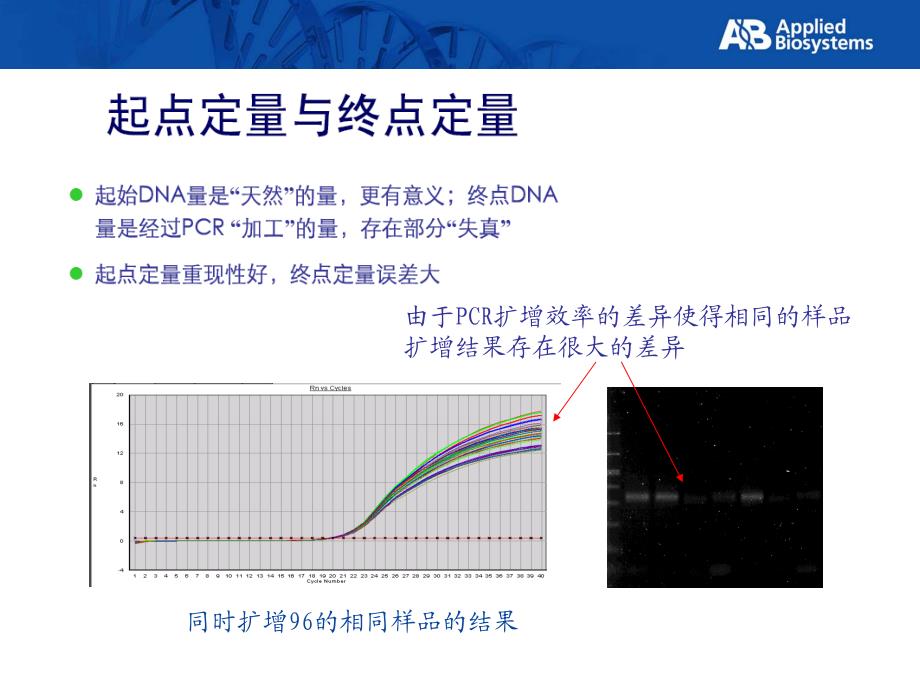 RealtimePCR(从原理到实验方法及数据分析)_第4页