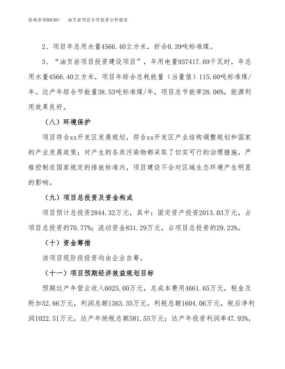 油页岩项目合作投资分析报告(范本) (1).docx_第5页