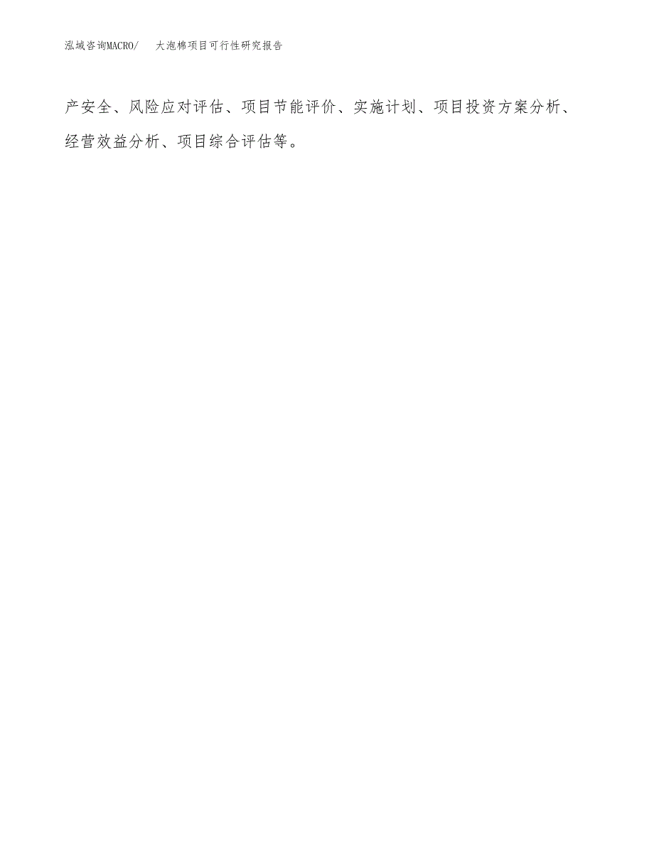 大泡棉项目可行性研究报告（总投资6000万元）（24亩）_第3页