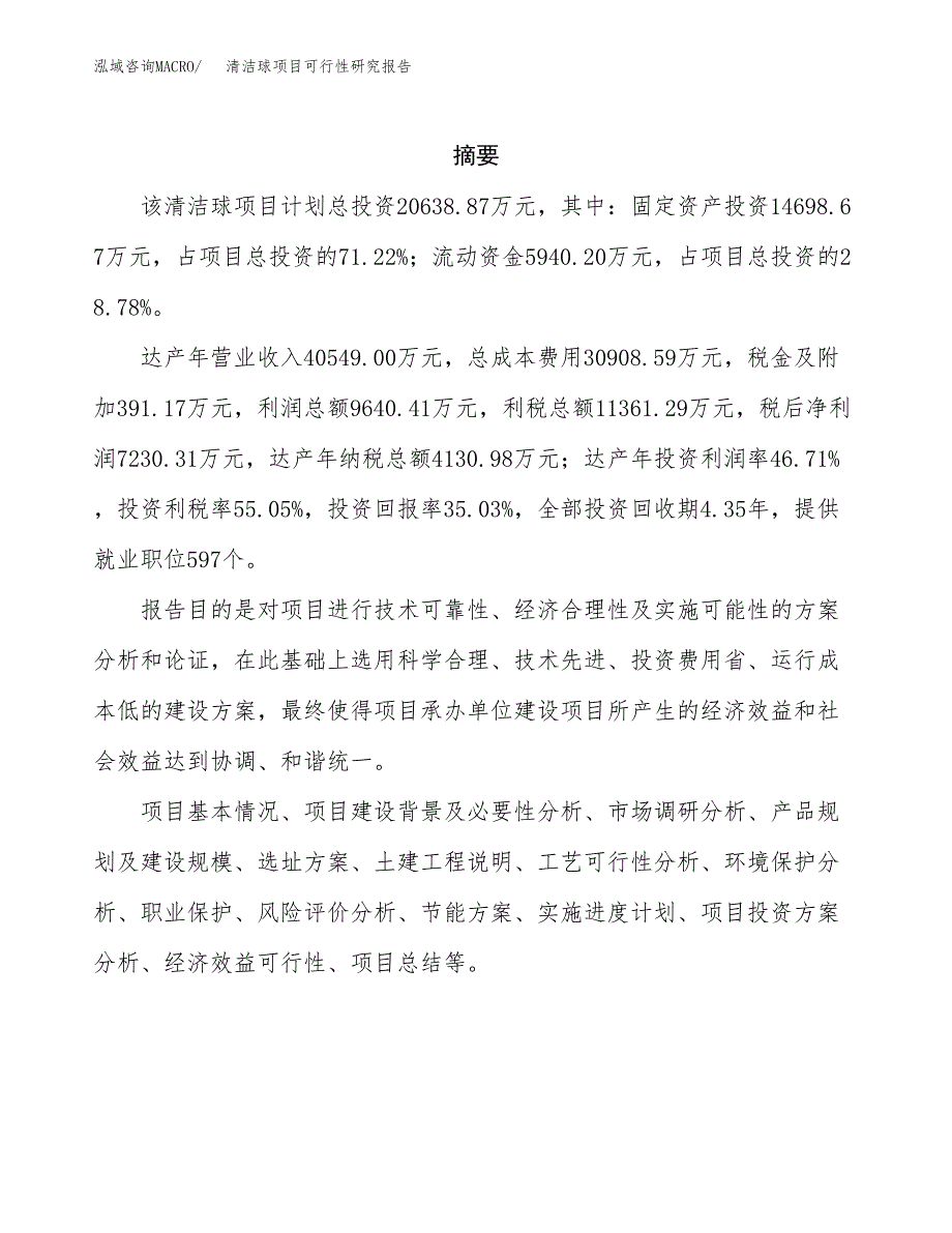 清洁球项目可行性研究报告（总投资21000万元）（87亩）_第2页