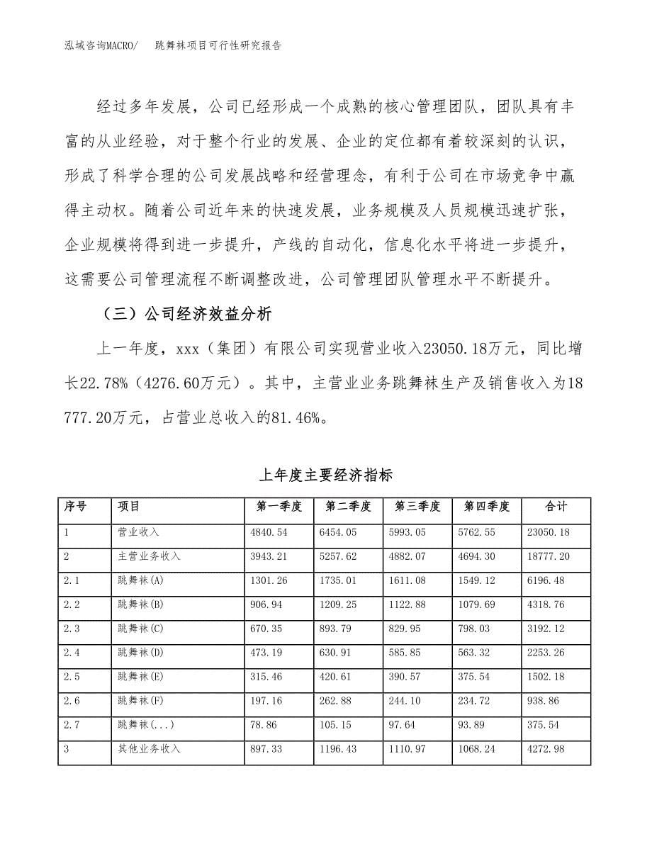 跳舞袜项目可行性研究报告（总投资14000万元）（66亩）_第5页