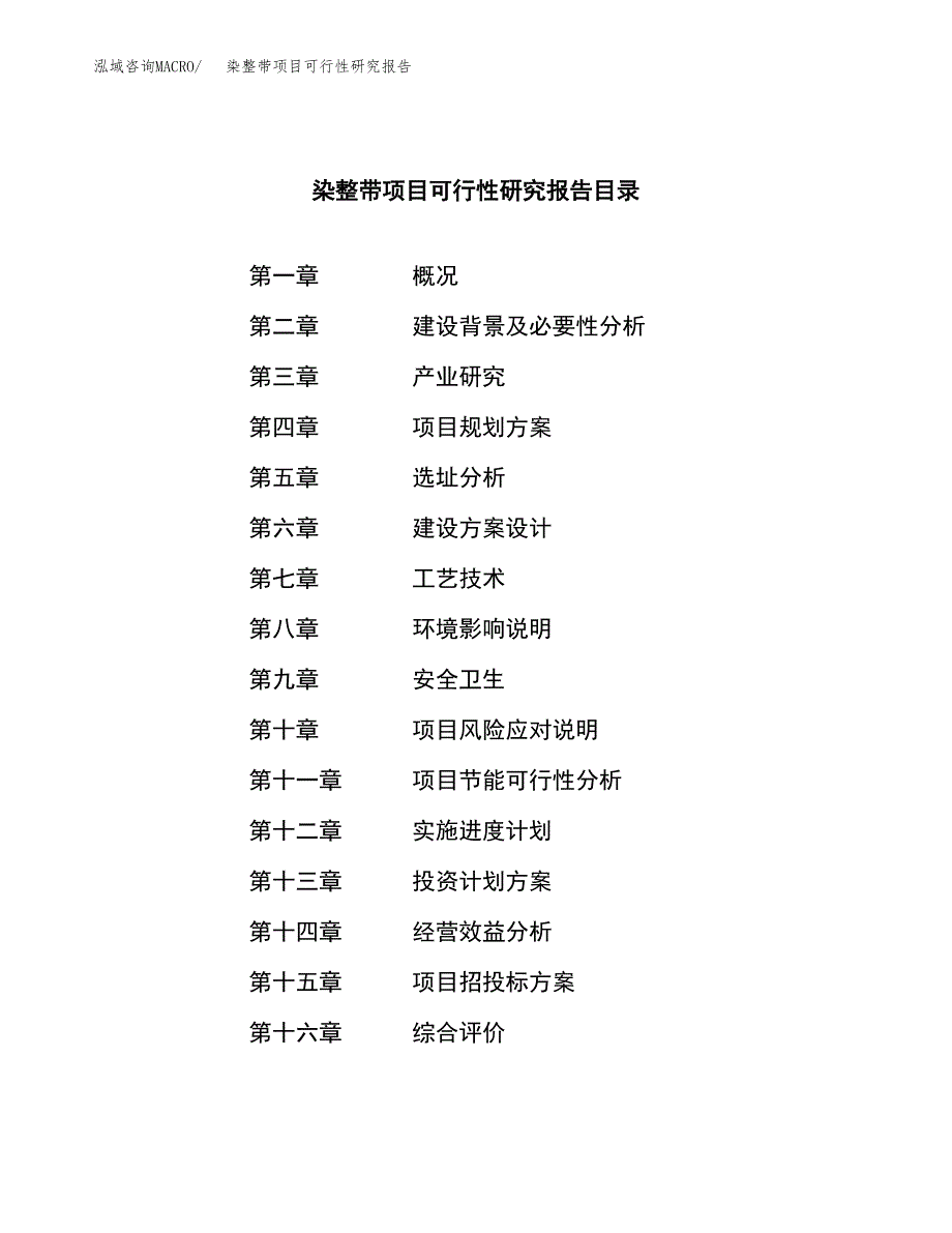 染整带项目可行性研究报告（总投资14000万元）（65亩）_第4页