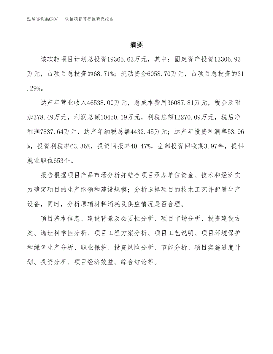 软轴项目可行性研究报告（总投资19000万元）（77亩）_第2页