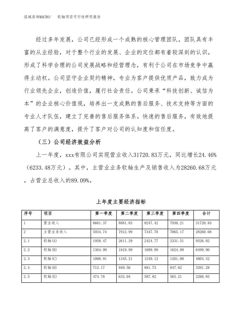 软轴项目可行性研究报告（总投资19000万元）（77亩）_第5页