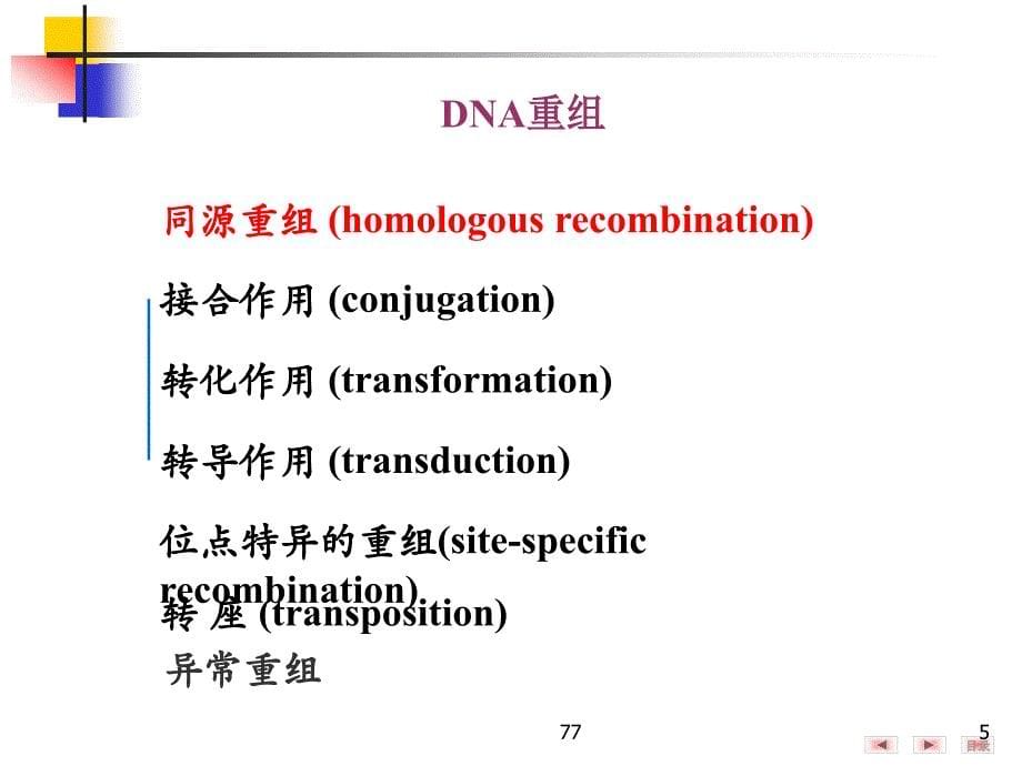 DNA重组及重组DNA技术解读_第5页