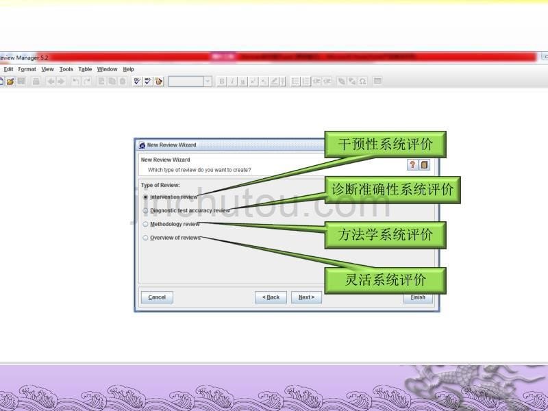 Revman5.3软件操作最新_第5页