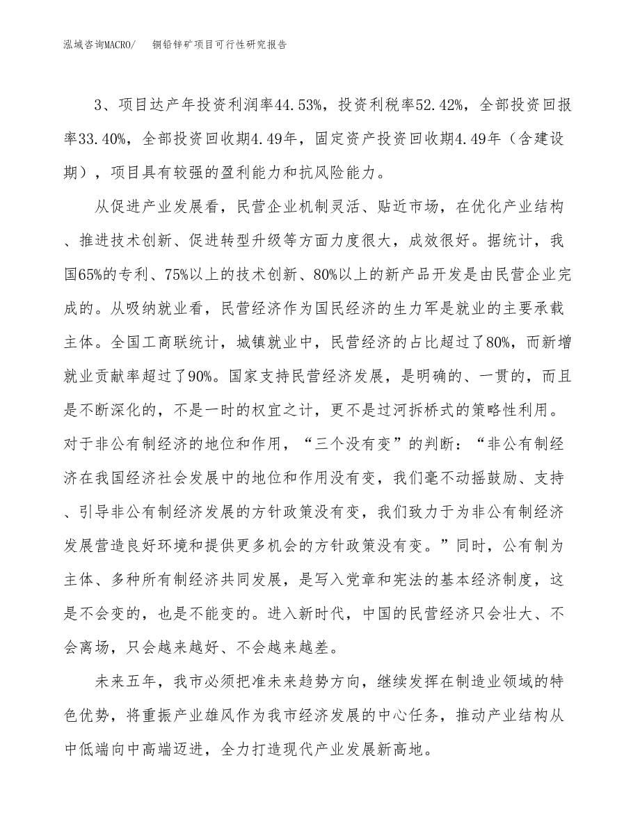 关于投资建设铜铅锌矿项目可行性研究报告.docx_第5页