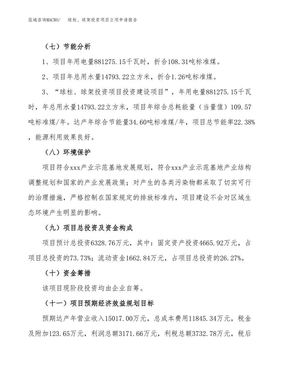 关于建设球柱、球架投资项目立项申请报告.docx_第5页