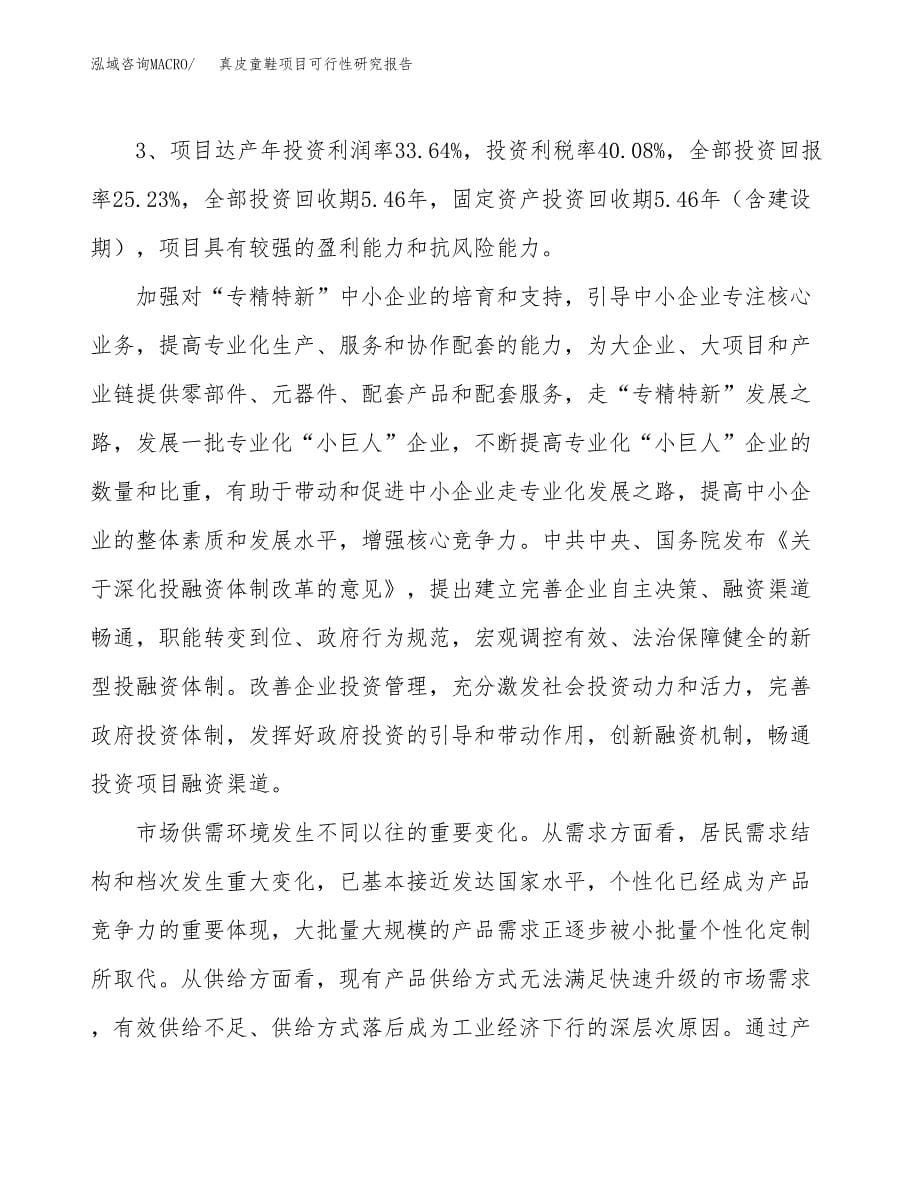 关于投资建设真皮童鞋项目可行性研究报告.docx_第5页