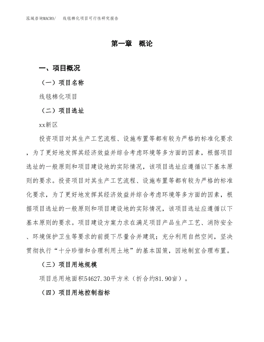 关于投资建设线毯棉化项目可行性研究报告.docx_第2页