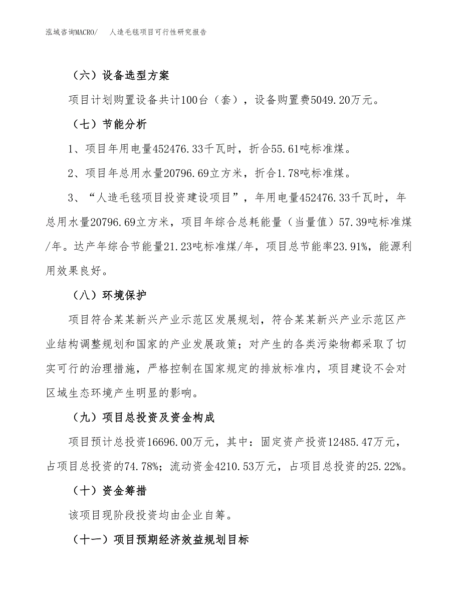 关于投资建设人造毛毯项目可行性研究报告.docx_第3页