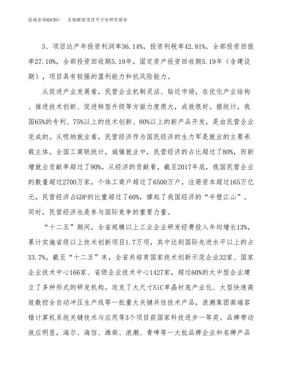 关于投资建设亚硫酸铵项目可行性研究报告.docx_第5页